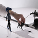 Image for article titled Sew Buttons Over Your Eyes And Paper Your Walls, Coraline Style